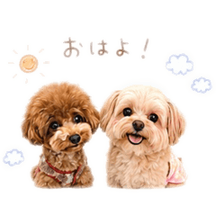 Yuka_20260819162215