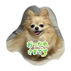 HANA_20260819134804