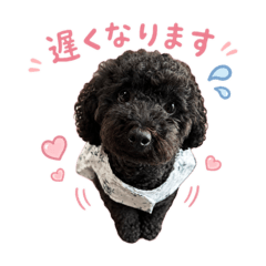 Taiga_20260819182735