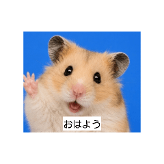 yuka_20260817184045