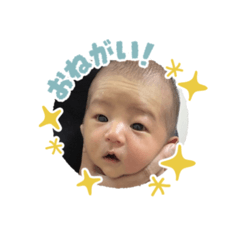 satomi_20260819125639