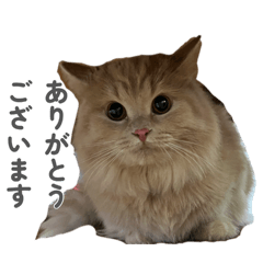 mugi_20260819194536