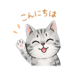 hinatabokko_20260819114531