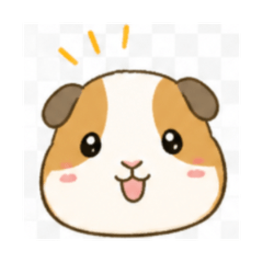 mayu_omochi1