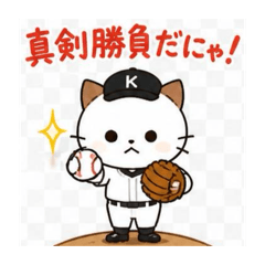 tomatomato_20260819133802