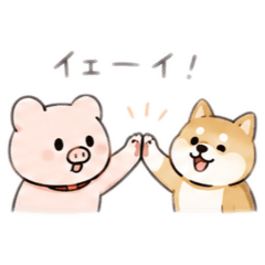 shiomi_20260819202519