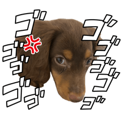 Mugi_20260819173352