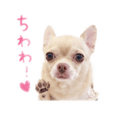 mini_20260819143241
