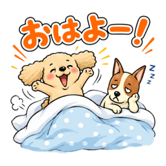 Rena.E_20260819144427