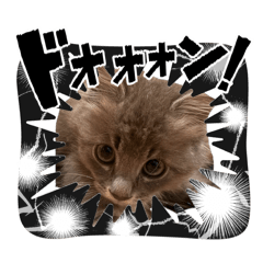 shunsuke_20260819203311