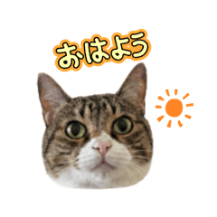 MIU_20260819203544