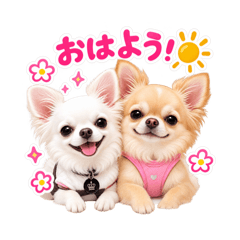 koharu_20260819163850
