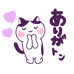 Ringo_20260819164444