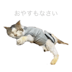 kudo4603_20260819163631