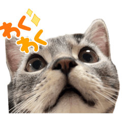 cohchan_20260819210007
