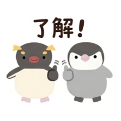 NiTan_20260819210215
