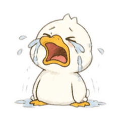 yun_20260819210901
