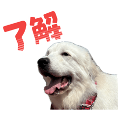 iso_20260819222325