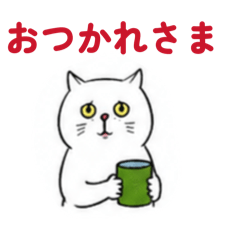 koko_20260819222325