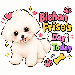 A Bichon Frise's Day EN