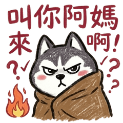 二哈日常2：叫你阿媽來啊！