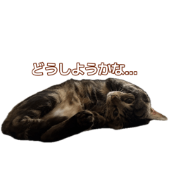 hana_20260819234000