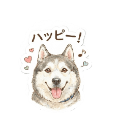 yuka_20260819195243