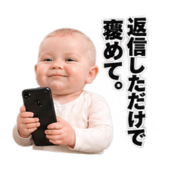 poji_20260819195255
