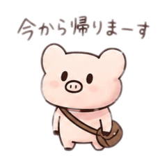 shiomi_20260819201616