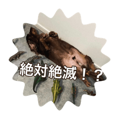 MonTototo2_20260819201805