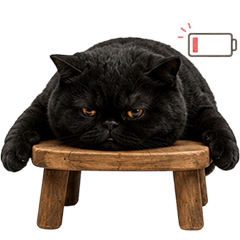 Black Cat Lazy!