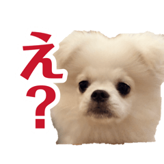 KOUSEN.Miyauchi_20260819