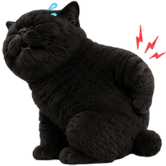 Black Cat Lazy! (No Text)