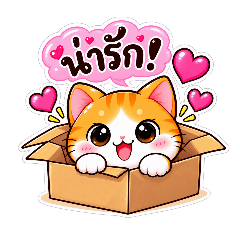 Nong Jeung Every Mood_20260819142126