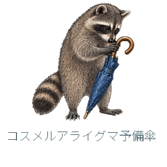 Cozumel Raccoon Umbrella