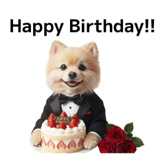 Pomeranian Prin Chan Stampa