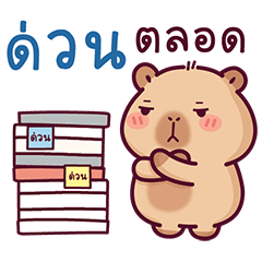 BongBong, the naughty capybara 19