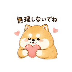 Kawaii AKITAINU AKITAMARU4