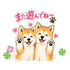 Lila_20260819190150