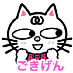 Cute Cross-Eyed Kitty Phrases