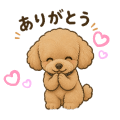 purin_20260819202217