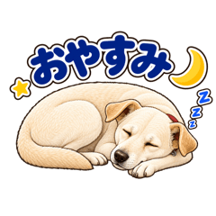 YONASO_20260819210336