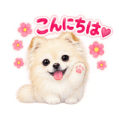 YU_20260819205149