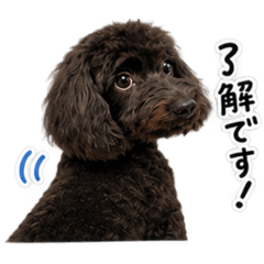 BS KOO_20260819210534
