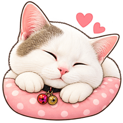 Sukjai Cute Cat Chat