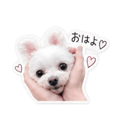 maaaa_20260819215706