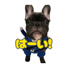 yuchuharu_20260819230851