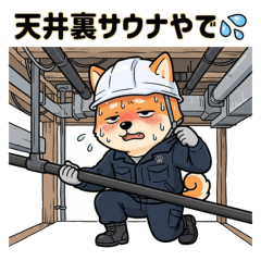 Shiba Inu: Plumbing & Equipment Stickers