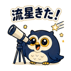 Astronomy Owl Meteor!