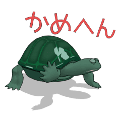 Turtle animation
